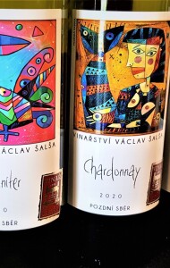 Degustace vín Václava Šalši a obrazy Michala Halvy