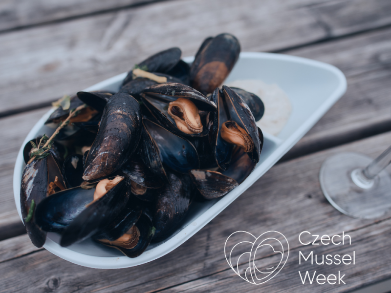 Czech mussel week v Salutu 