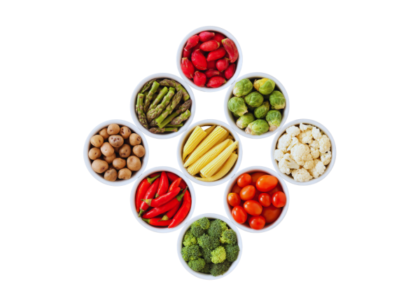 Originální denní menu, vegetarián a vegan jídla